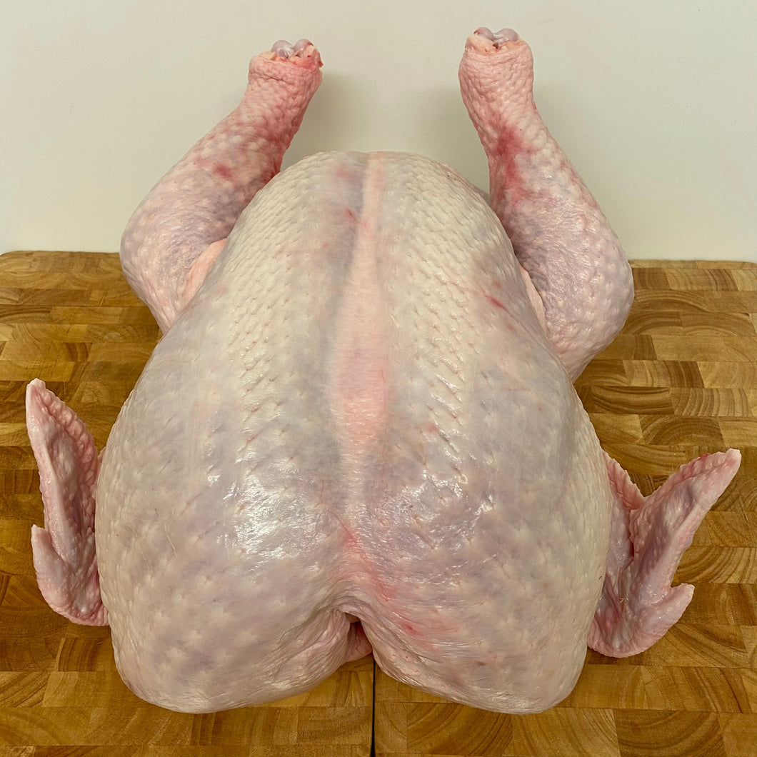 Free Range Turkey